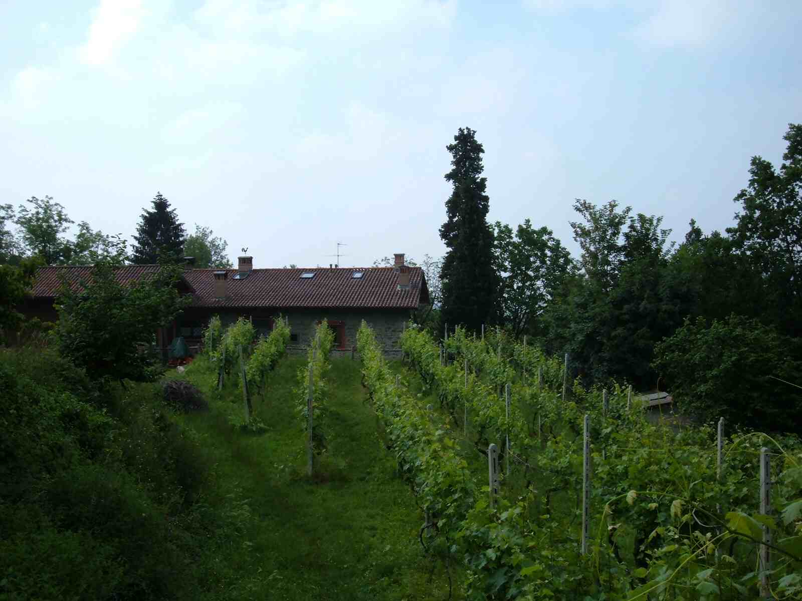 Una veduta della Cascina Ronchi dai vigneti che la circondano